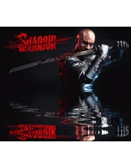 Shadow Warrior (2013) SteamРФ+Весь МирKey + Бонус