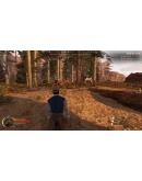 Wild West Dynasty АВТОДОСТАВКА STEAM РОССИЯ