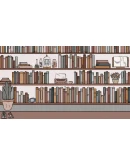 Birth АВТОДОСТАВКА STEAM GIFT РОССИЯ