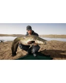 Fishing Sim World: Pro Tour: Lago del mundo Steam key