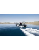 Fishing Sim World: Pro Tour: Lago del mundo Steam key