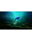 The Catch: Carp &amp Coarse - Lake Beasts Equipment Pack