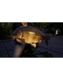 Euro Fishing: Waldsee DLC SteamGlobalKey + Бонус