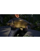Euro Fishing: Waldsee DLC (Steam key / Region Free)