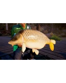 Fishing Sim World: Pro Tour SteamGlobalKey + Бонус