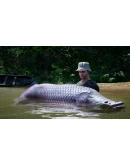 Fishing Sim World: Pro Tour - Laguna Iquitos Steam key