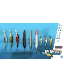 Fishing Sim World: Pro Tour - Big Fish Lure Pack DLC