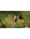 Animal Shelter Steam Gift АВТОВЫДАЧА ВСЕ РЕГИОНЫ