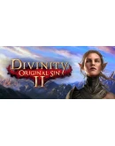 Divinity: Original Sin 2 - Eternal Edition STEAM RU