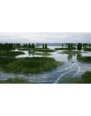 Fishing Sim World Steam Gift АВТОВЫДАЧА РОССИЯ