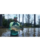 Bassmaster Fishing 2022: Jordan Lake Steam key / Global
