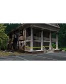 Nancy Drew Alibi in Ashes АВТОДОСТАВКА STEAM РОССИЯ