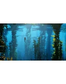 Last Tide Steam Gift АВТОВЫДАЧА ВСЕ РЕГИОНЫ