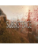 Subsistence Steam Gift АВТОВЫДАЧА ВСЕ РЕГИОНЫ