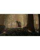 The Isle Steam Gift АВТОВЫДАЧА ВСЕ РЕГИОНЫ