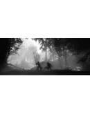 Trek to Yomi XBOX ONE / Series XS КЛЮЧ