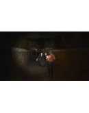 The Watchers АВТОДОСТАВКА STEAM РОССИЯ