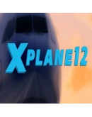 X-Plane 12 Steam Gift АВТОВЫДАЧА ВСЕ РЕГИОНЫ