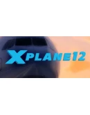 X-Plane 12 Steam Gift АВТОВЫДАЧА ВСЕ РЕГИОНЫ
