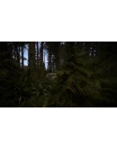 Sons Of The Forest Steam Gift АВТО РОССИЯ/СНГ