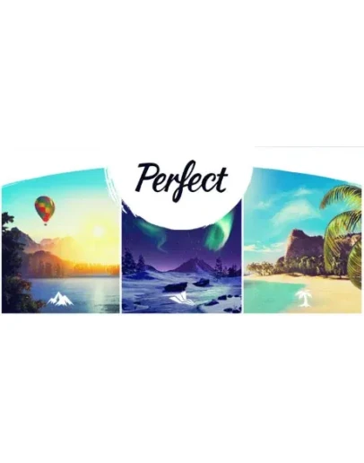 Perfect VR Steam Global + RU/CIS РФ СНГ Россия