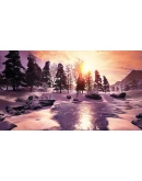 Perfect VR Steam Global + RU/CIS РФ СНГ Россия