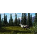 Way of the Hunter - Aurora Shores XBOX SERIES XS Код