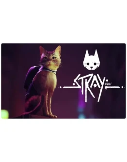 Stray (PS4/PS5/RU) П3 - Активация