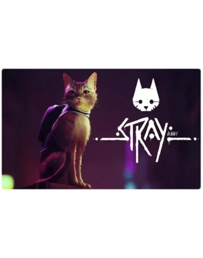 Stray (PS4/PS5/RU) П3 - Активация