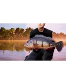 Fishing Sim World: Pro Tour - Laguna Iquitos Steam Fishing Sim World: Pro Tour - Laguna Iquitos Steam