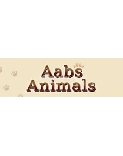 Aabs Animals XBOX one Series Xs