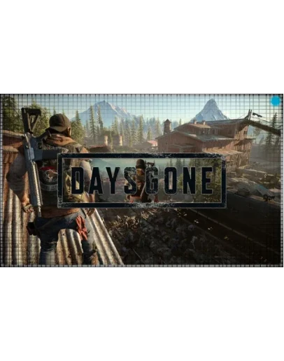 Days Gone (PS4/PS5/RU) П3 - Активация Days Gone (PS4/PS5/RU) П3 - Активация