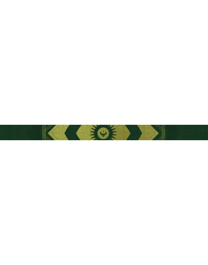 Destiny 2 - Emblem (Образ надежды) PC, PS, Xbox