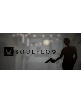 Soulflow Steam Region free +