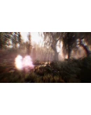 The Dead Tree of Ranchiuna SteamGlobalKey + Бонус