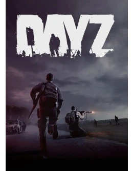DAYZ ONLINE STEAM Полный доступ +
