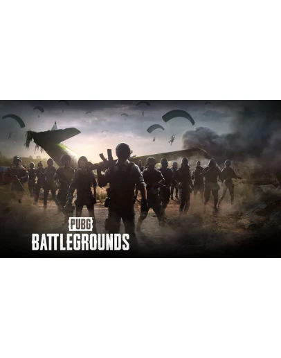 PUBG PLUS ONLINE STEAM Полный доступ +