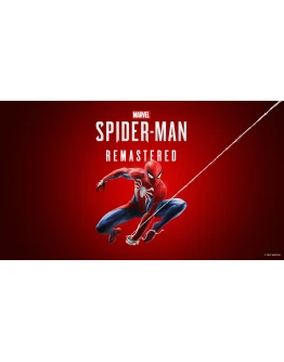 SPIDER-MAN ONLINE STEAM Полный доступ +