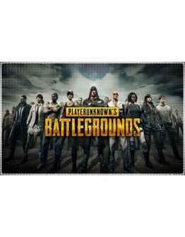 PUBG (PS4/RU) П3 - Активация
