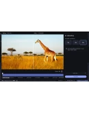 Movavi Video Suite 2023 Steam Edition (Steam Gift RU)