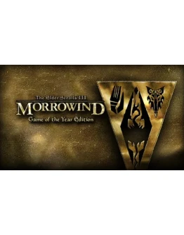 TES3 III: MORROWIND GOTY ключ Global + RU/CIS РФ Россия
