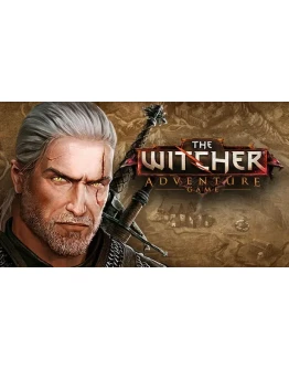 The Witcher Adventure Game Steam GIFT RU+CIS 0