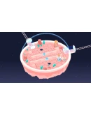 Cosmic Express (Steam key / РФ+Весь Мир)