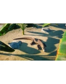 Planet Zoo: Deluxe Upgrade Pack Steam Ключ РФ+Мир +Бону