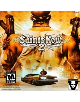 SAINTS ROW 2 STEAM КЛЮЧ