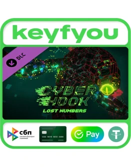 Cyber Hook - Lost Numbers DLC / STEAM КЛЮЧ Cyber Hook - Lost Numbers DLC / STEAM КЛЮЧ