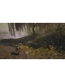 Cions of Vega Xbox One &amp Xbox Series XS активация