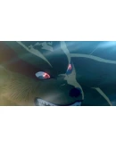 NARUTO SHIPPUDEN Ultimate Ninja STORM Legacy XBOX Код