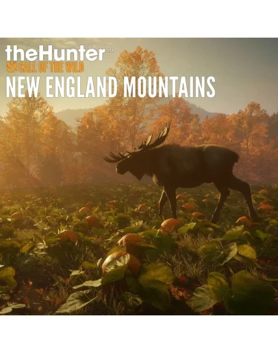 theHunter Call of the Wild New England Mountains XBOX