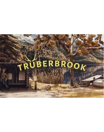 Truberbrook (PS4/PS5/RU) П3 - Активация Truberbrook (PS4/PS5/RU) П3 - Активация